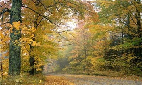 ماسال شهر رنگین کمان گیلان+عکس