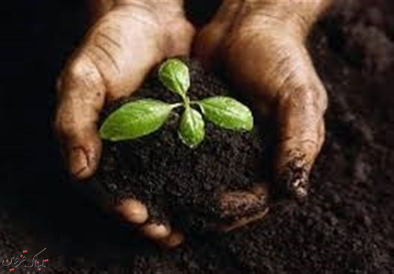 همایش روز جهانی خاک در قزوین
