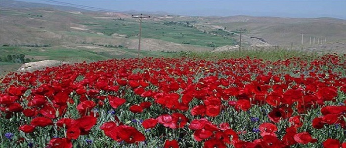 معرفی آثار تاریخی و جاذبه های گردشگری استان زنجان/غار کتله خور، منطقه حفاظت شده سرخ آباد، رودخانه قزل اوزن، آبشار شارشار معرفی آثار تاریخی و جاذبه های گردشگری استان زنجان/غار کتله خور، منطقه حفاظت شده سرخ آباد، رودخانه قزل اوزن، آبشار شارشار