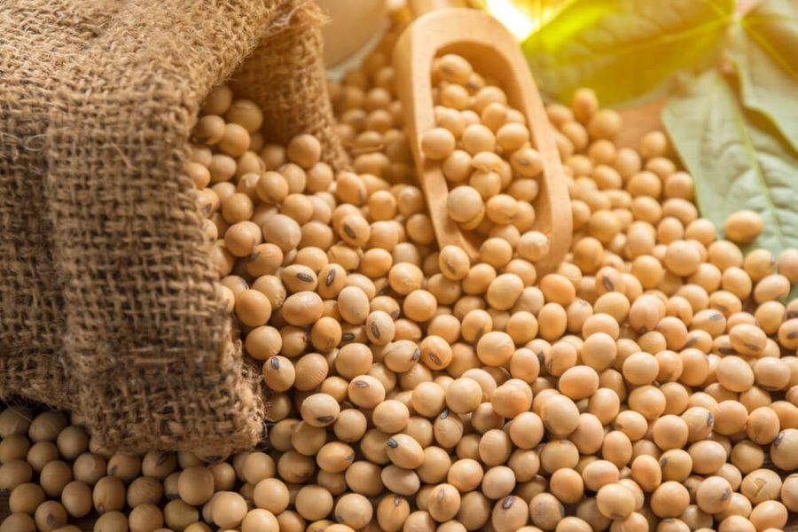 مصرف محصولات سویا موجب افزایش طول عمر می شود