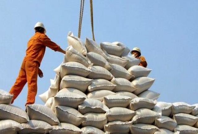 حذف ممنوعیت واردات برنج در فصل برداشت شالیزارها حذف ممنوعیت واردات برنج در فصل برداشت شالیزارها