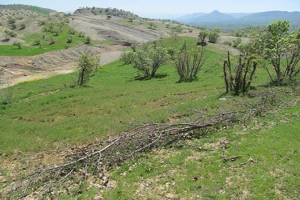 افتتاح ۲۰ طرح در حوزه منابع طبیعی در هفته دولت