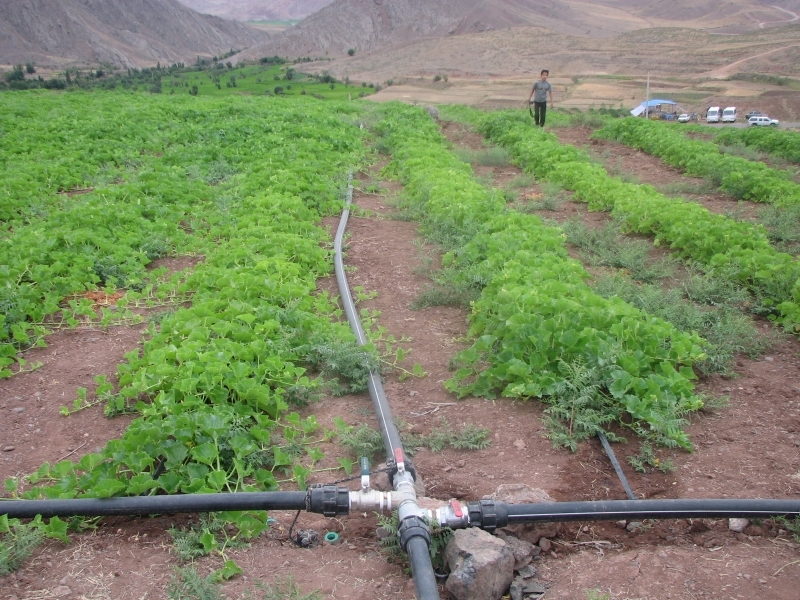 41 هزار متر لوله در روستاهای شهرستان قزوین اجرا شد 41 هزار متر لوله در روستاهای شهرستان قزوین اجرا شد