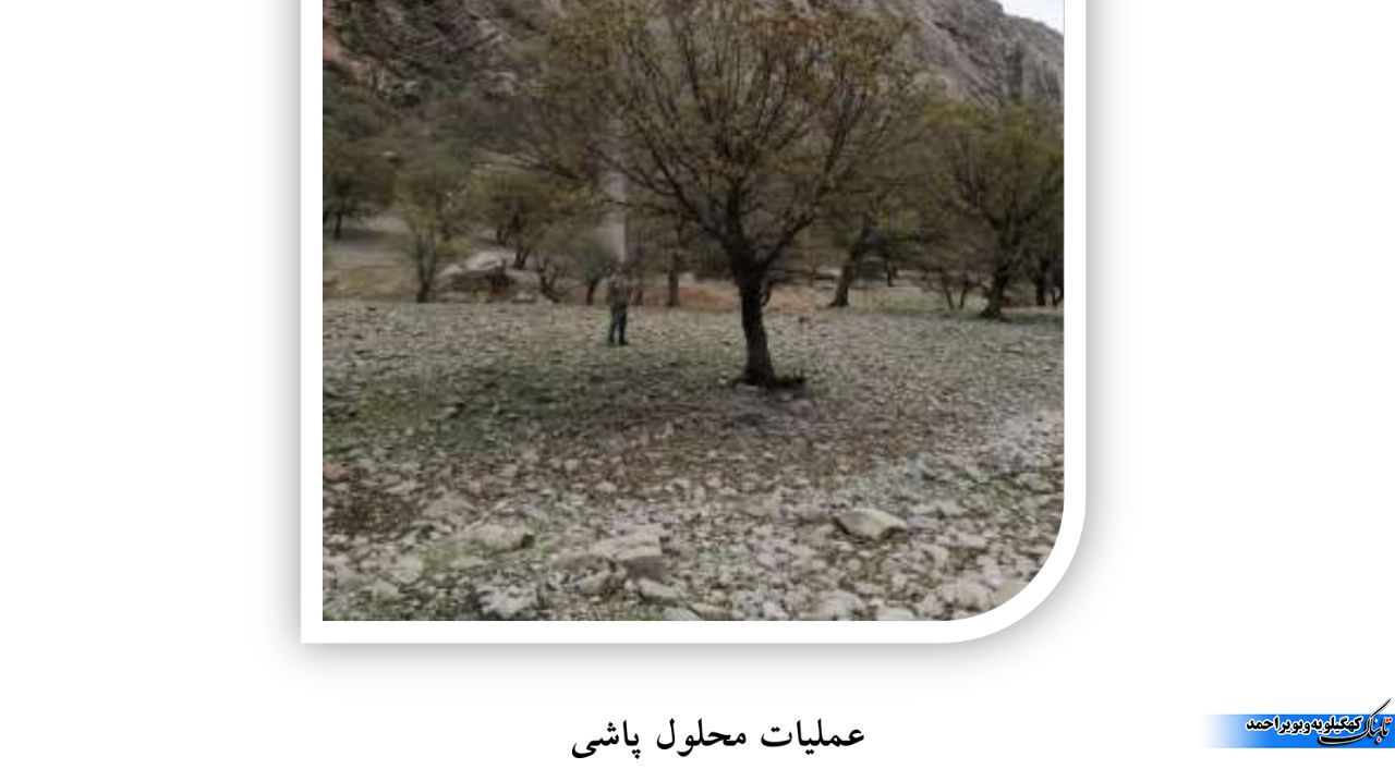 آفت برگ خوار بلوط و آنچه که کمتر می دانیم / توقع بیجا ایجاد نکنیم ! آفت برگ خوار بلوط و آنچه که کمتر می دانیم / توقع بیجا ایجاد نکنیم !