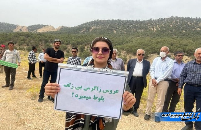 آفت برگ خوار بلوط و آنچه که کمتر می دانیم / توقع بیجا ایجاد نکنیم ! آفت برگ خوار بلوط و آنچه که کمتر می دانیم / توقع بیجا ایجاد نکنیم !