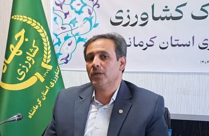 کرمانشاه، قطب تولید شیر و گوشت با زنجیره ارزش کامل کرمانشاه، قطب تولید شیر و گوشت با زنجیره ارزش کامل