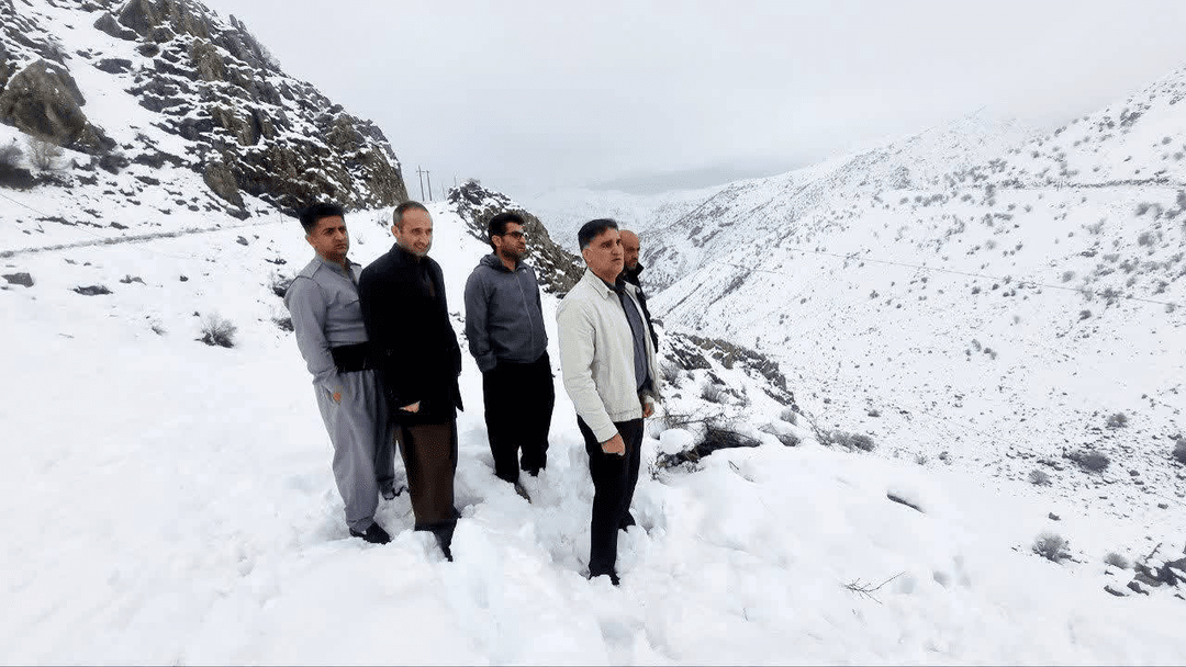 برق روستاهای پاوه پس از کولاک، تا فردا برقرار می‌شود