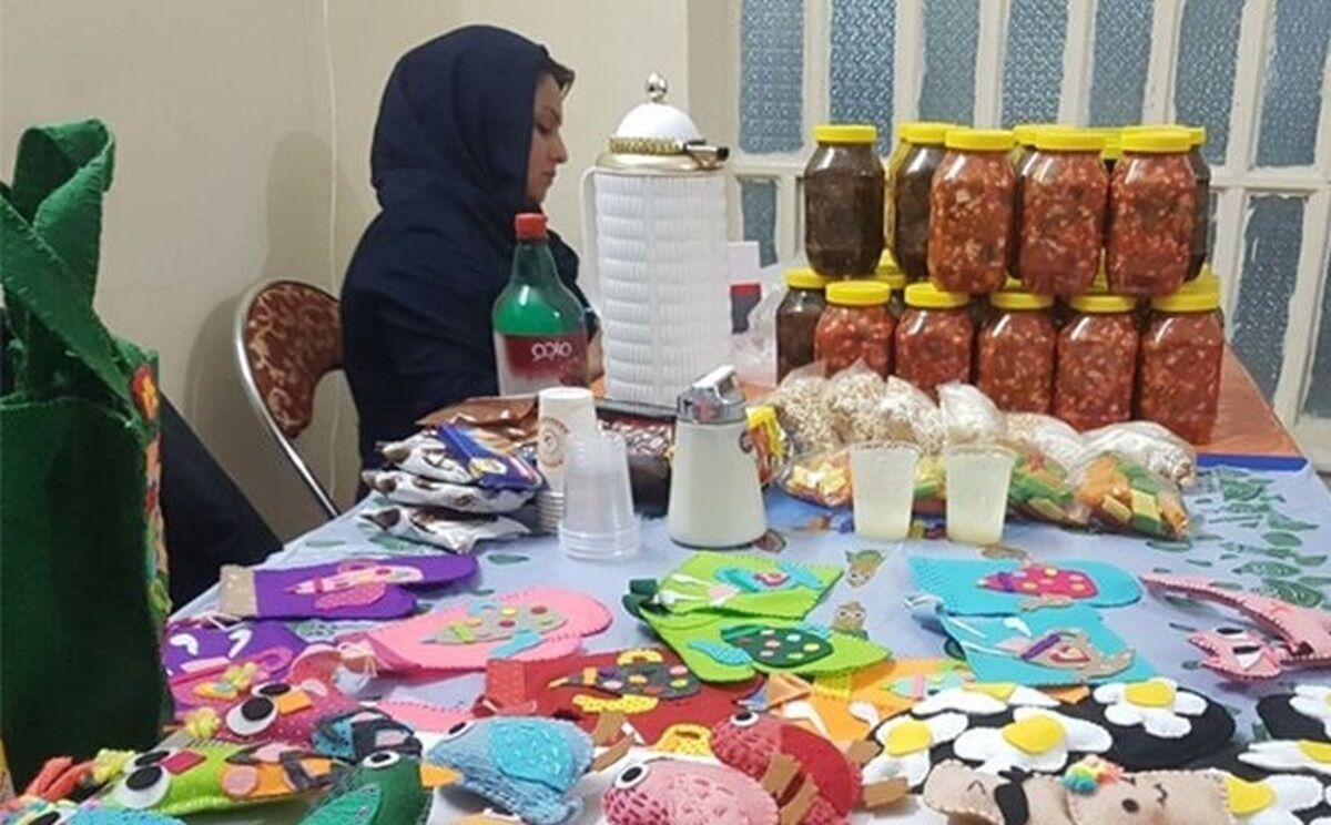 پرداخت ۹۲ میلیارد ریال تسهیلات مشاغل خانگی