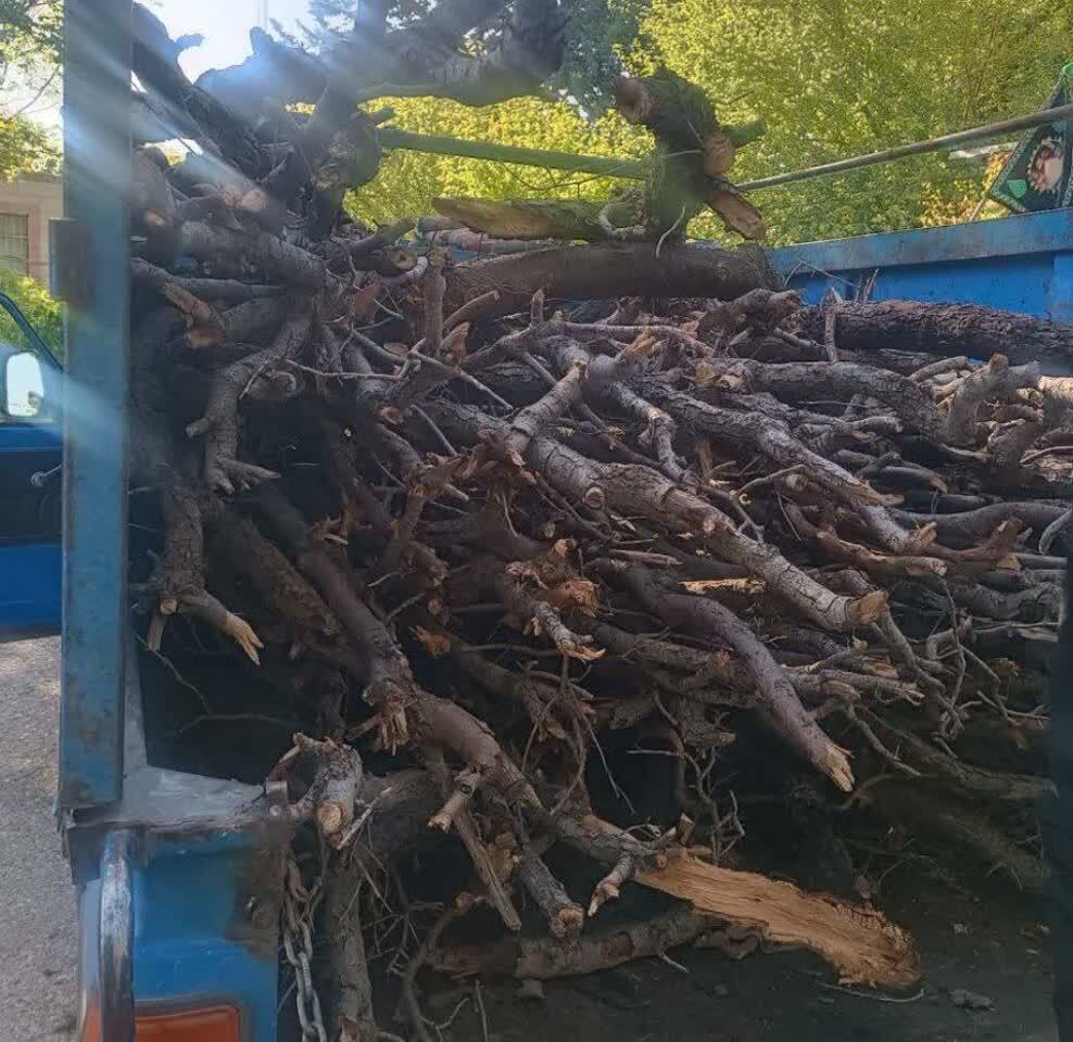 دستگیری عامل قطع و قاچاق درختان بلوط در اسلام آبادغرب دستگیری عامل قطع و قاچاق درختان بلوط در اسلام آبادغرب